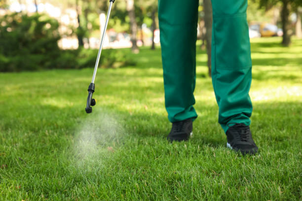 Best Best Pest Control Companies  in Diboll, TX
