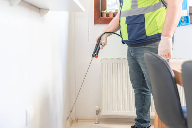 Best Affordable Pest Control Services  in Diboll, TX